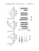 METHODS OF DIAGNOSING AND TREATING MOTOR NEURON DISEASES diagram and image