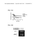 CXCR4 INHIBITING CARRIERS FOR NUCLEIC ACID DELIVERY diagram and image