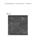 CXCR4 INHIBITING CARRIERS FOR NUCLEIC ACID DELIVERY diagram and image