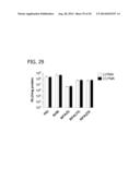 CXCR4 INHIBITING CARRIERS FOR NUCLEIC ACID DELIVERY diagram and image