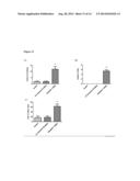 ANTICONVULSANT ACTIVITY OF TURMERIC OIL AND BISABOLENE SESQUITERPENOIDS diagram and image