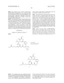 HISTONE DEACETYLASE INHIBITORS AND SYNTHETIC METHOD THEREOF AND USE     THEREOF IN MANUFACTURE OF MEDICAMENTS diagram and image