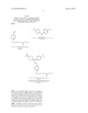 NEAR INFRARED FLUOROGEN AND FLUORESCENT ACTIVATING PROTEINS FOR IN VIVO     IMAGING AND LIVE-CELL BIOSENSING diagram and image