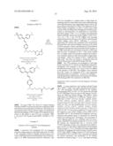 NEAR INFRARED FLUOROGEN AND FLUORESCENT ACTIVATING PROTEINS FOR IN VIVO     IMAGING AND LIVE-CELL BIOSENSING diagram and image