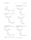 NEAR INFRARED FLUOROGEN AND FLUORESCENT ACTIVATING PROTEINS FOR IN VIVO     IMAGING AND LIVE-CELL BIOSENSING diagram and image