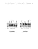 ANTISENSE OLIGONUCLEOTIDES FOR INDUCING EXON SKIPPING AND METHODS OF USE     THEREOF diagram and image