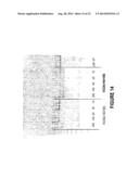 ANTISENSE OLIGONUCLEOTIDES FOR INDUCING EXON SKIPPING AND METHODS OF USE     THEREOF diagram and image