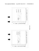 SYSTEM AND METHOD FOR MONITORING CARDIAC OUTPUT WITH SUBSTANTIALLY     IMPROVED ACCURACY AND PRECISION diagram and image