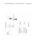 SYSTEM FOR DEFINING ENERGY FIELD CHARACTERISTICS TO ILLUMINATE     NANO-PARTICLES USED TO TREAT INVASIVE AGENTS diagram and image