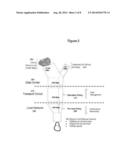 ACCELERATED NETWORK DELIVERY OF CHANNELIZED CONTENT diagram and image