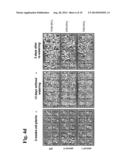 GENE ASSOCIATED WITH NON-BIOLOGICAL STRESS RESISTANCE, AND TRANSFORMED     PLANT diagram and image