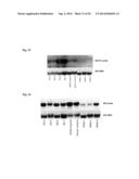 TRANSCRIPTION FACTORS THAT REGULATE NICOTINE BIOSYNTHESIS IN TOBACCO diagram and image