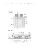 Organometallic Complex, Light-Emitting Element, Light-Emitting Device,     Electronic Device, and Lighting Device diagram and image