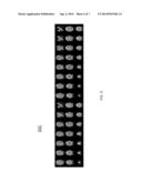 Methods and Systems for Accelerated MR Imaging diagram and image