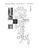 Multi-Functional Adaptive Optics Retinal Imaging diagram and image