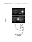 MULTIMODAL SILICA-BASED NANOPARTICLES diagram and image