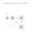 MULTIMODAL SILICA-BASED NANOPARTICLES diagram and image