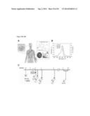 MULTIMODAL SILICA-BASED NANOPARTICLES diagram and image