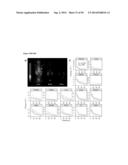 MULTIMODAL SILICA-BASED NANOPARTICLES diagram and image