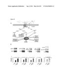 MULTIMODAL SILICA-BASED NANOPARTICLES diagram and image