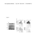 MULTIMODAL SILICA-BASED NANOPARTICLES diagram and image