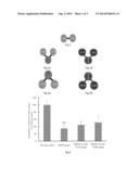 USE OF G-CSF DIMER IN PREPARATION OF MEDICAMENT FOR TREATMENT OF     NEURODEGENERATIVE DISEASES diagram and image