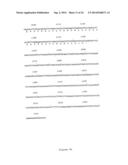 NOVEL HUMAN GENES RELATING TO RESPIRATORY DISEASES AND OBESITY diagram and image