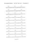 NOVEL HUMAN GENES RELATING TO RESPIRATORY DISEASES AND OBESITY diagram and image