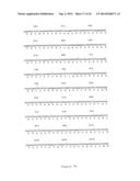 NOVEL HUMAN GENES RELATING TO RESPIRATORY DISEASES AND OBESITY diagram and image