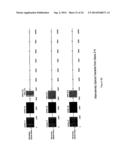 NOVEL HUMAN GENES RELATING TO RESPIRATORY DISEASES AND OBESITY diagram and image