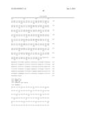 NOVEL HUMAN GENES RELATING TO RESPIRATORY DISEASES AND OBESITY diagram and image