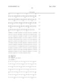 NOVEL HUMAN GENES RELATING TO RESPIRATORY DISEASES AND OBESITY diagram and image