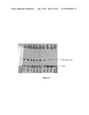 FC RECEPTOR BINDING PROTEINS diagram and image