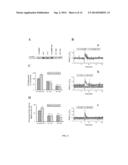 Modulation of Cellular Migration diagram and image