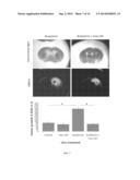 Modulation of Cellular Migration diagram and image