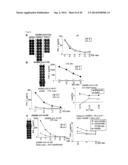 PEPTIDE VACCINES FOR CANCERS EXPRESSING TUMOR-ASSOCIATED ANTIGENS diagram and image