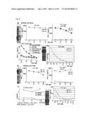 PEPTIDE VACCINES FOR CANCERS EXPRESSING TUMOR-ASSOCIATED ANTIGENS diagram and image