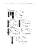 PEPTIDE VACCINES FOR CANCERS EXPRESSING TUMOR-ASSOCIATED ANTIGENS diagram and image