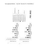 LENTIVIRAL GENE TRANSFER VECTORS AND THEIR MEDICINAL APPLICATIONS diagram and image