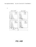 LENTIVIRAL GENE TRANSFER VECTORS AND THEIR MEDICINAL APPLICATIONS diagram and image