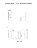 LENTIVIRAL GENE TRANSFER VECTORS AND THEIR MEDICINAL APPLICATIONS diagram and image