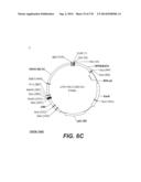 LENTIVIRAL GENE TRANSFER VECTORS AND THEIR MEDICINAL APPLICATIONS diagram and image