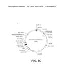 LENTIVIRAL GENE TRANSFER VECTORS AND THEIR MEDICINAL APPLICATIONS diagram and image