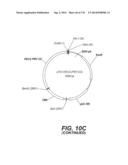 LENTIVIRAL GENE TRANSFER VECTORS AND THEIR MEDICINAL APPLICATIONS diagram and image