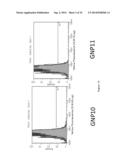 NANOPARTICLE TUMOUR VACCINES diagram and image