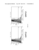 NANOPARTICLE TUMOUR VACCINES diagram and image