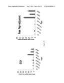 NANOPARTICLE TUMOUR VACCINES diagram and image