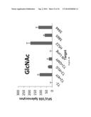 NANOPARTICLE TUMOUR VACCINES diagram and image