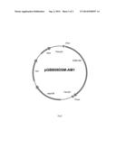 ALPHA-AMYLASE VARIANTS diagram and image