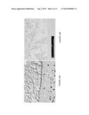 COATING COMPOSITIONS diagram and image